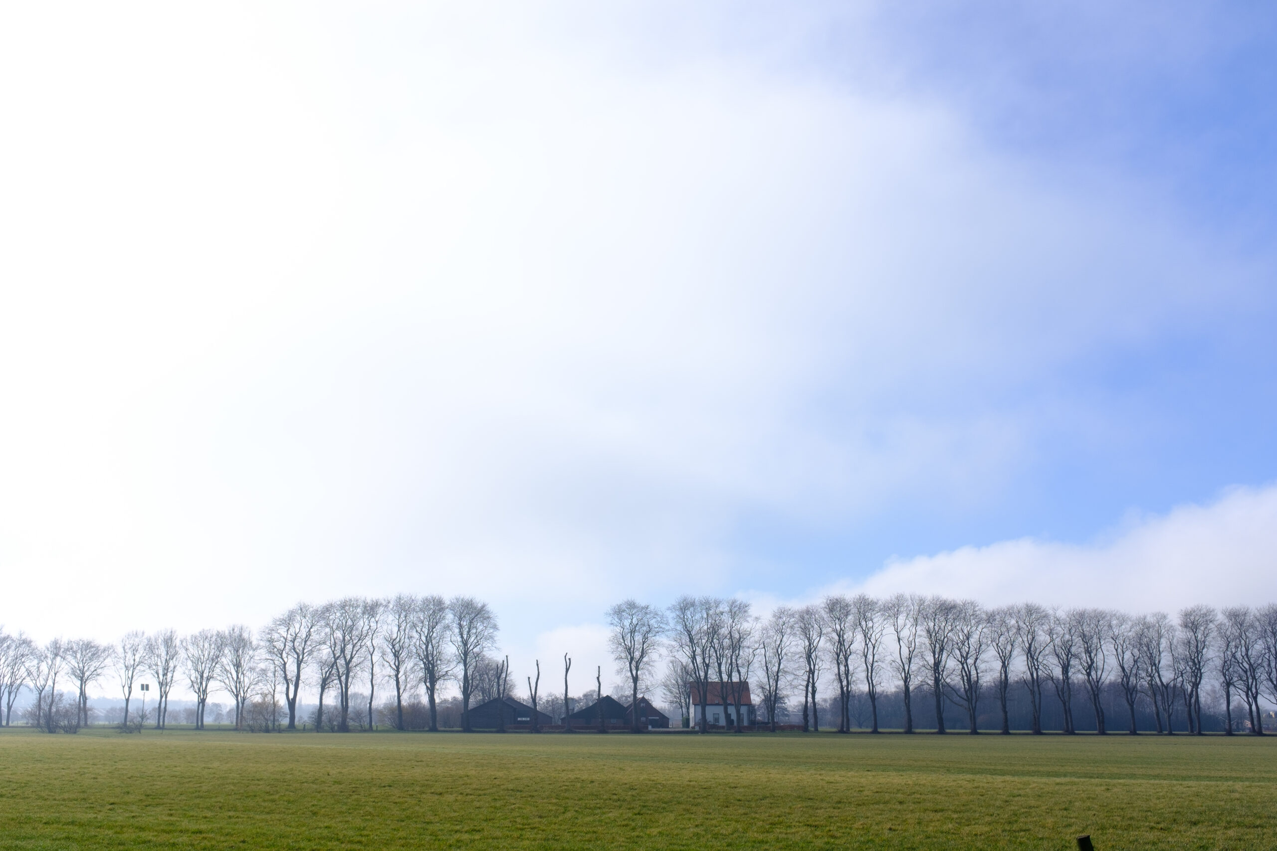 Ecowonen