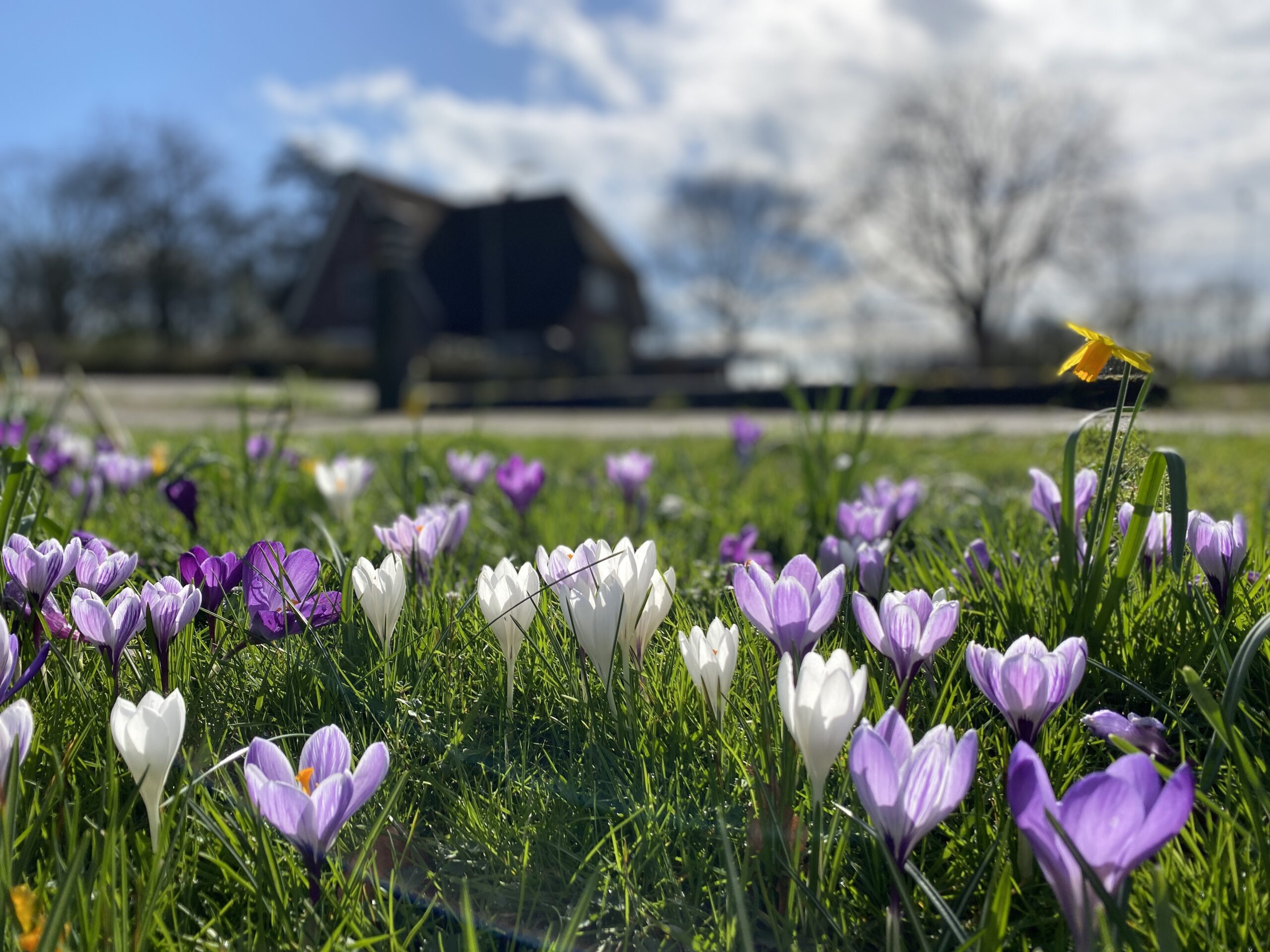 Ecowonen Midden Nederland